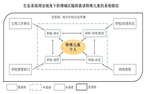 社會(huì)工作在特殊兒童隨班就讀服務(wù)系統(tǒng)的實(shí)踐探索與信息系統(tǒng)運(yùn)行維護(hù)服務(wù)